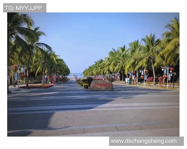 姚明芳海南之旅探寻热带风情与文化魅力的完美结合