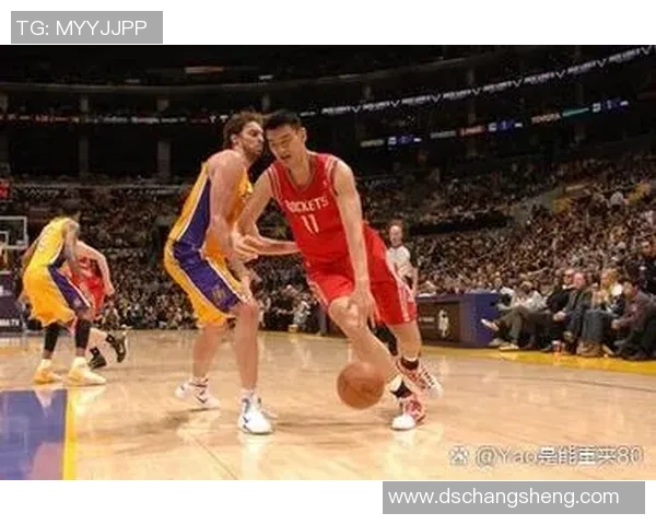 河南姚明杰：从篮球场到人生舞台的奋斗与梦想之路