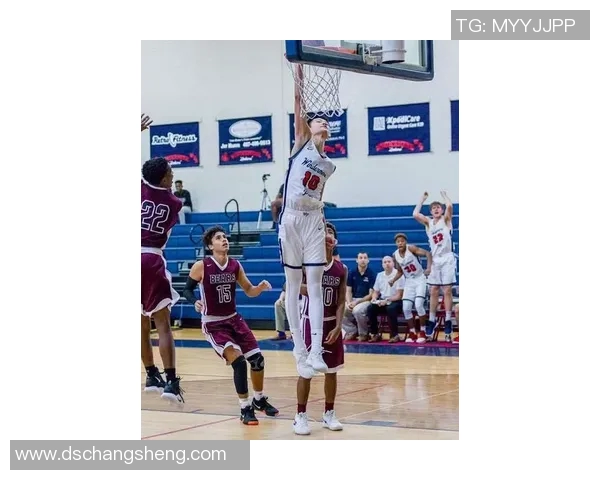 篮球明星学院：培养未来篮球巨星的摇篮与梦想之地