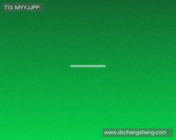 篮球明星史迪芬的传奇之路与赛场背后的不为人知故事